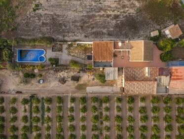 Bestaand - Finca / Country Property - Orihuela Costa - Orihuela