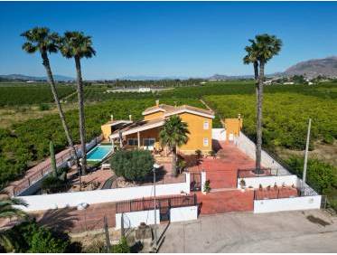 Bestaand - Finca / Country Property - Orihuela Costa - Orihuela