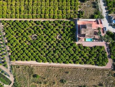 Bestaand - Finca / Country Property - Orihuela Costa - Orihuela