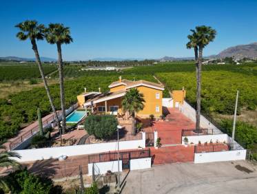 Bestaand - Finca / Country Property - Orihuela Costa - Orihuela