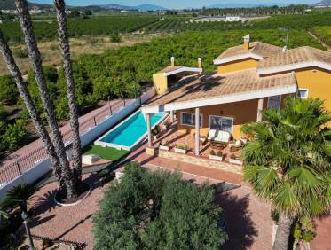 Bestaand - Finca / Country Property - Orihuela Costa - Orihuela