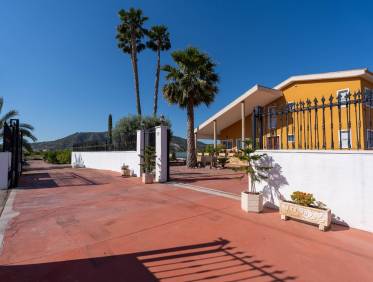 Bestaand - Finca / Country Property - Orihuela Costa - Orihuela