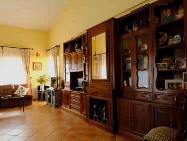 Bestaand - Finca / Country Property - Orihuela Costa - Orihuela