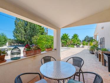 Bestaand - Finca - Elche - Elche/Elx