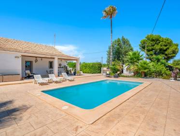 Bestaand - Finca - Elche - Elche/Elx