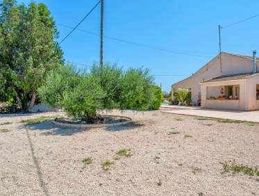 Bestaand - Finca - Elche - Elche/Elx