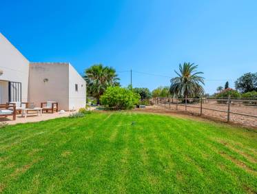 Bestaand - Finca - Elche - Elche/Elx