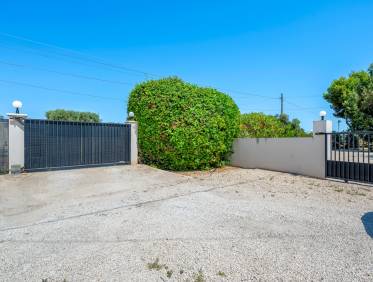 Bestaand - Finca - Elche - Elche/Elx