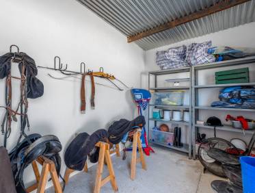 Bestaand - Finca - Elche - Elche/Elx