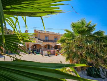 Bestaand - Finca - Fortuna
