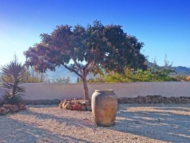 Bestaand - Finca - Jalón Valley - Jalón Vallei
