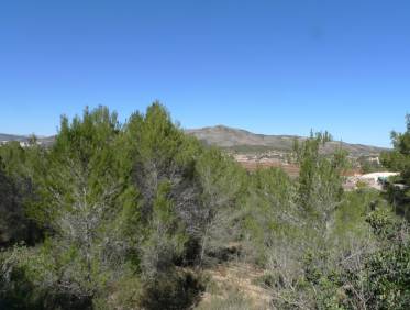 Bestaand - Finca - Jalón Valley - Jalón Vallei