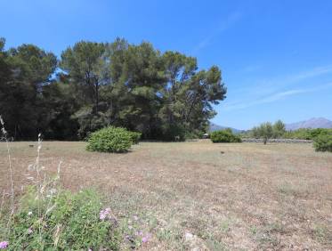 Bestaand - Finca - Jalón Valley - Jalón Vallei