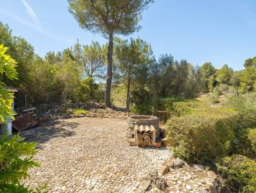 Bestaand - Finca - Jalón Valley - Jalón Vallei