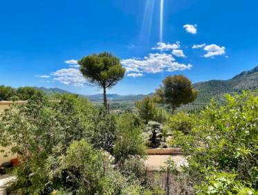 Bestaand - Finca - Jalón Valley - Jalón Vallei