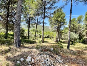 Bestaand - Finca - Jalón Valley - Jalón Vallei