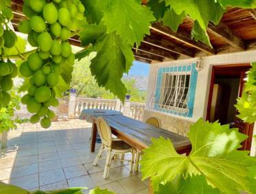 Bestaand - Finca - Jalón Valley - Jalón Vallei