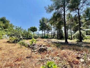 Bestaand - Finca - Jalón Valley - Jalón Vallei