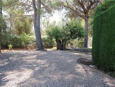 Bestaand - Finca - Jalón Valley - Jalón Vallei