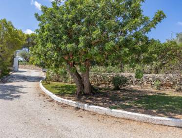 Bestaand - Finca - Jávea