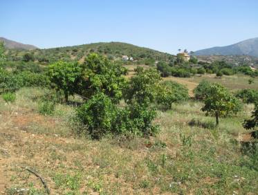 Bestaand - Finca - Mijas - Entrerrios