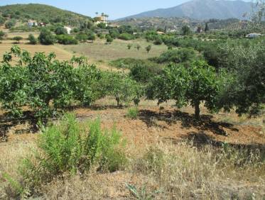 Bestaand - Finca - Mijas - Entrerrios