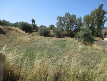 Bestaand - Finca - Mijas - Entrerrios