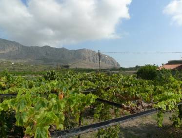 Bestaand - Finca - Orba Valley - Orba Vallei