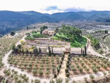 Bestaand - Finca - Penàguila