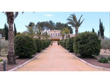 Bestaand - Finca - Penàguila