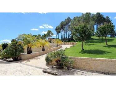 Bestaand - Finca - Penàguila