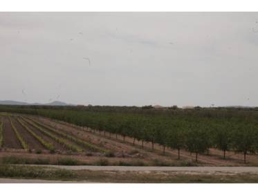 Bestaand - Finca - Raspay