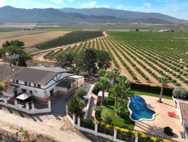 Bestaand - Finca - Yecla