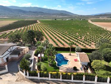 Bestaand - Finca - Yecla