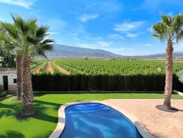 Bestaand - Finca - Yecla