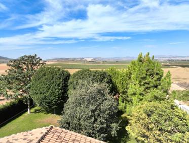 Bestaand - Finca - Yecla