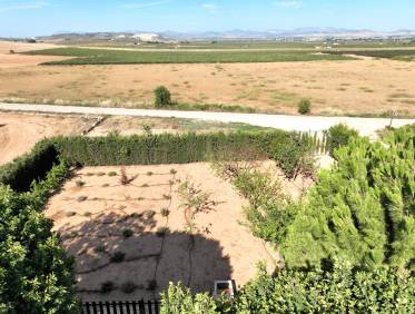 Bestaand - Finca - Yecla