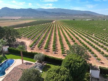 Bestaand - Finca - Yecla