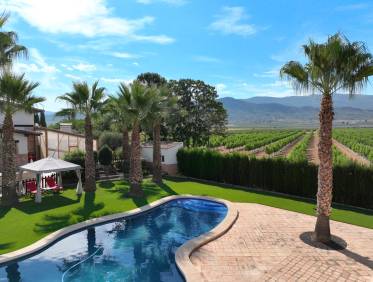 Bestaand - Finca - Yecla