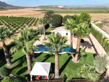 Bestaand - Finca - Yecla