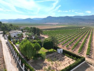 Bestaand - Finca - Yecla