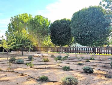 Bestaand - Finca - Yecla