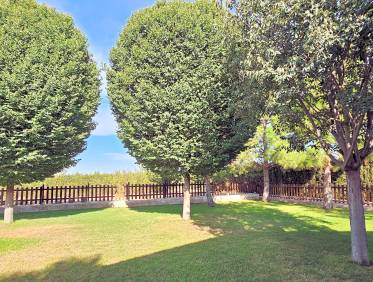 Bestaand - Finca - Yecla