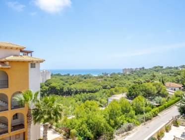 Bestaand - Penthouse - Orihuela Costa - Campoamor