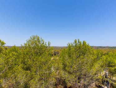 Bestaand - Penthouse - Orihuela Costa