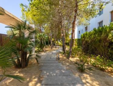 Bestaand - Penthouse - Orihuela Costa