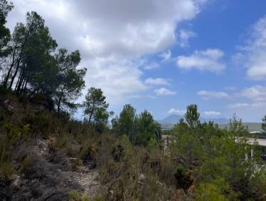 Bestaand - Plot - Altea - Urbanización Santa Clara