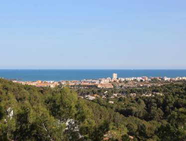 Bestaand - Plot - Jávea - Tosalet