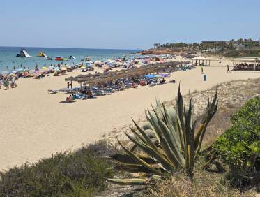 Bestaand - Terraced house / Townhouse - Orihuela Costa - Mil Palmeras