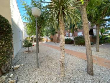 Bestaand - Townhouse / Semi-detached - Elche - Center
